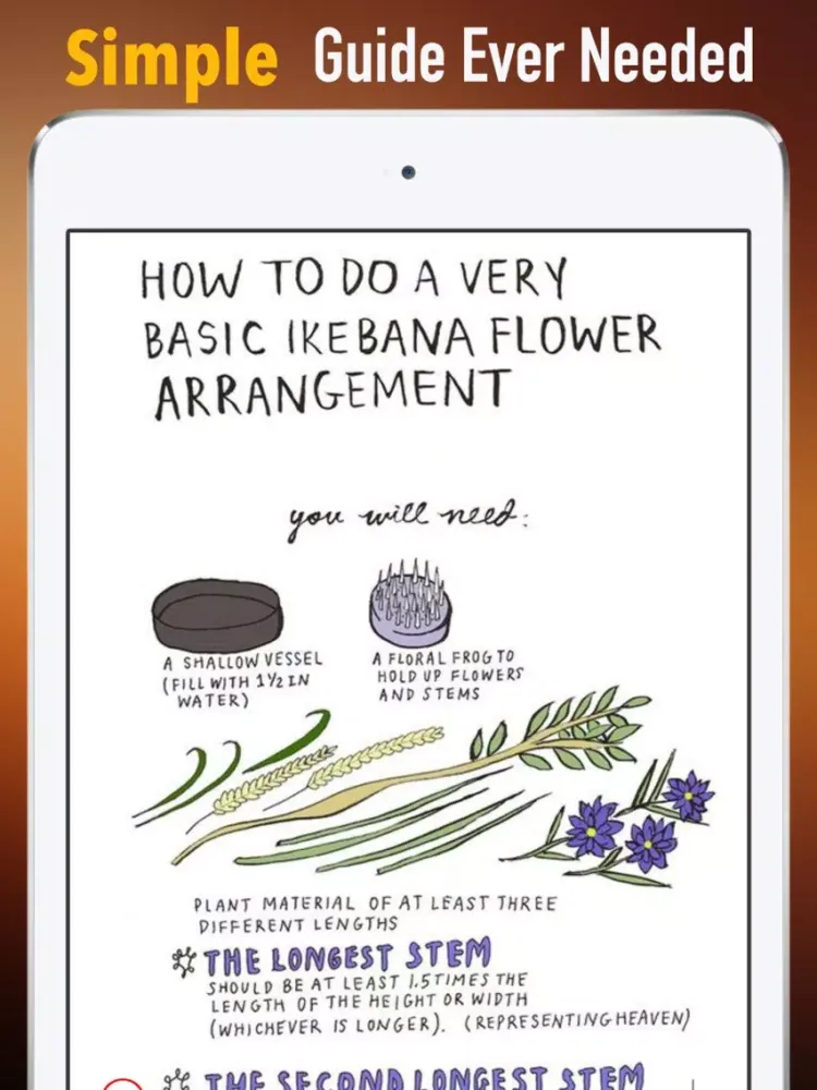 DIY Flower Arranging for Beginners:Guide and Tips iPad  Screenshots
