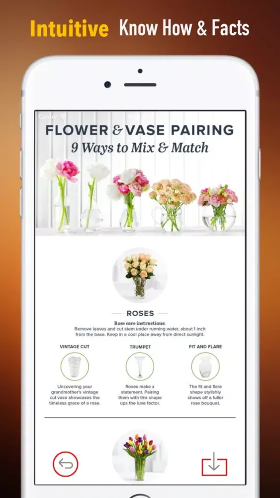 DIY Flower Arranging for Beginners:Guide and Tips Screenshots