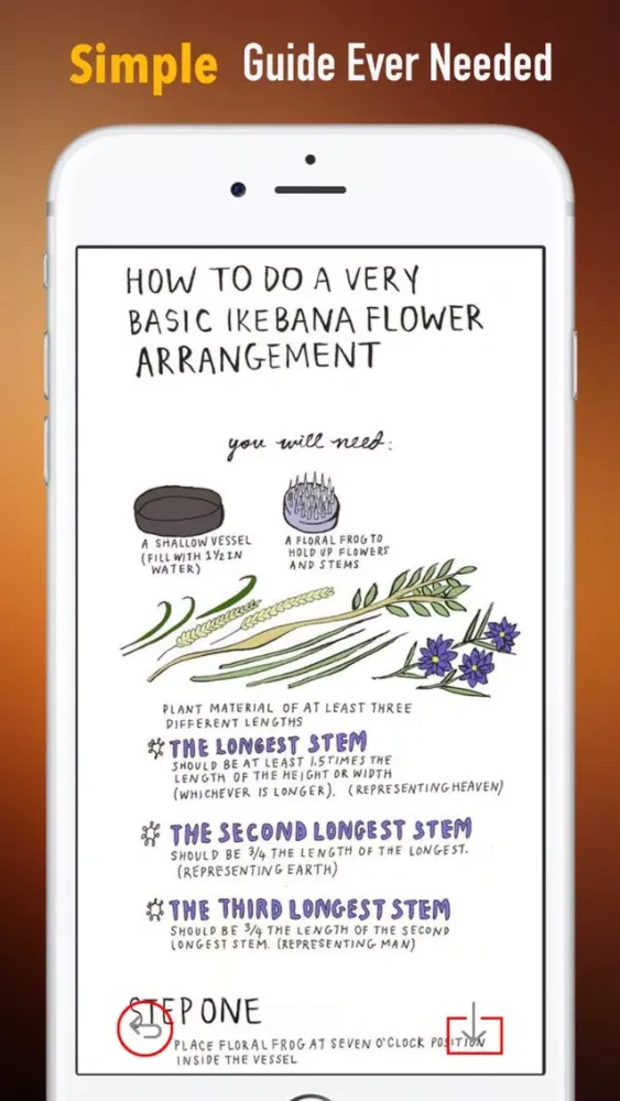 DIY Flower Arranging for Beginners:Guide and Tips Screenshots
