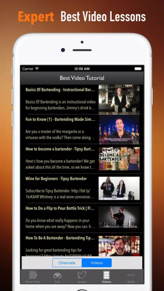 ภาพหน้าจอของ Bartender for Beginners:Tips and Tutorial