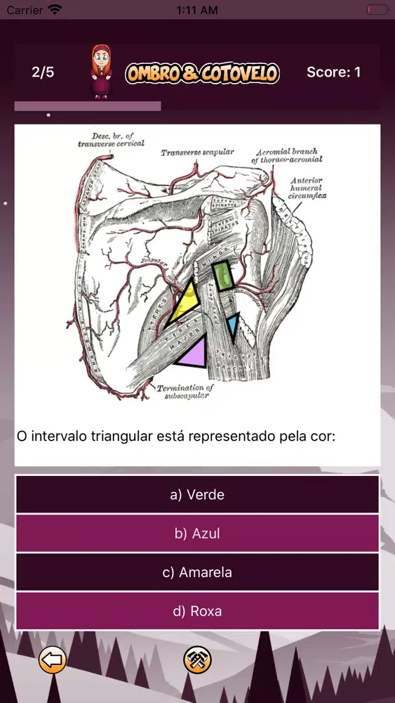 Capturas de pantalla de OrthoQuiz