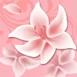 养花大全 家庭办公养花必备
