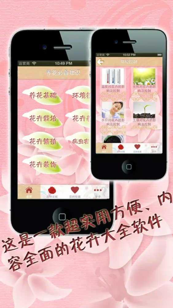 صور 养花大全 家庭办公养花必备