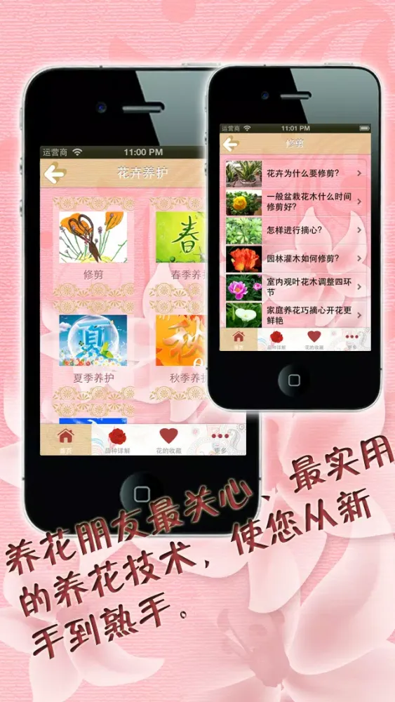 صور 养花大全 家庭办公养花必备