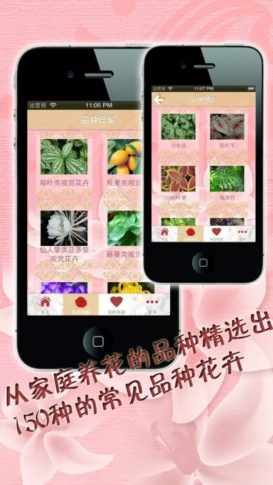 صور 养花大全 家庭办公养花必备