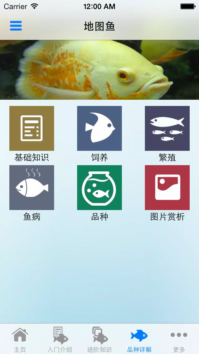 观赏鱼大全应用截图