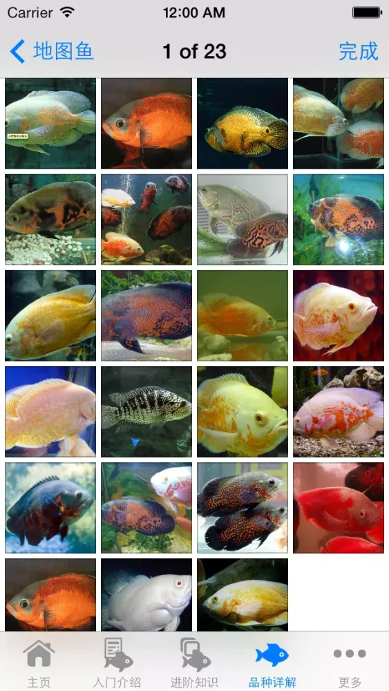 ภาพหน้าจอของ 观赏鱼大全