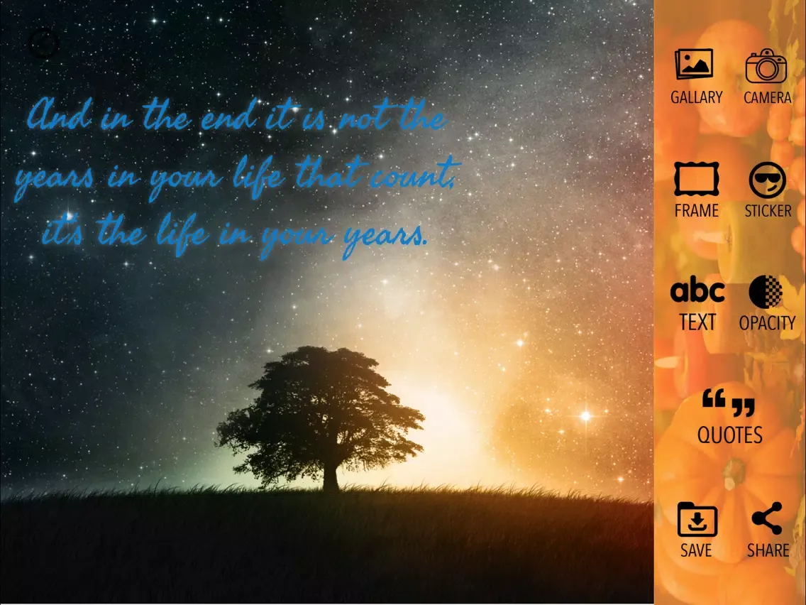 Capturas de pantalla de Quotes of abraham lincoln iPad 