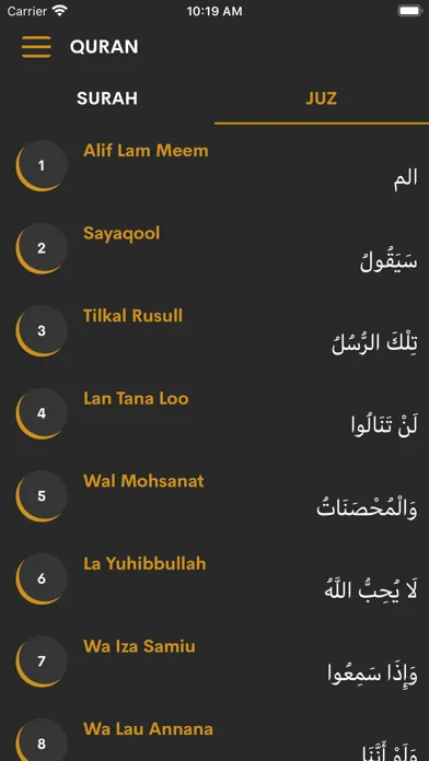 Quran with Hindi translation Ekran Görüntüleri