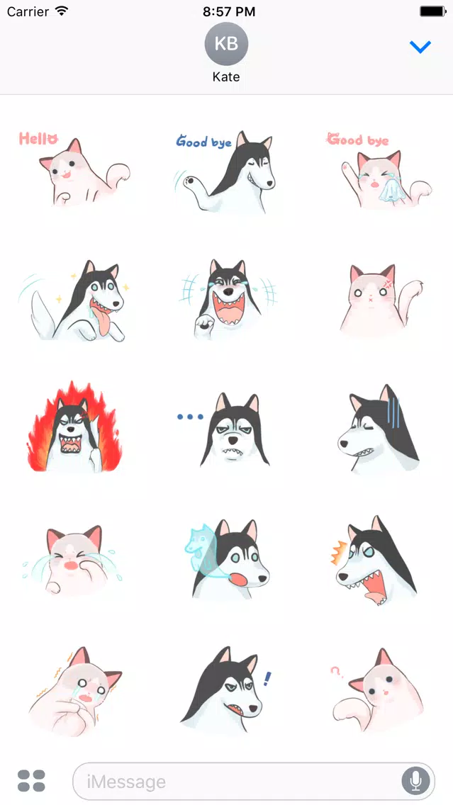 Beauty Dog & Beast Cat. Stickers by Design73應用截圖
