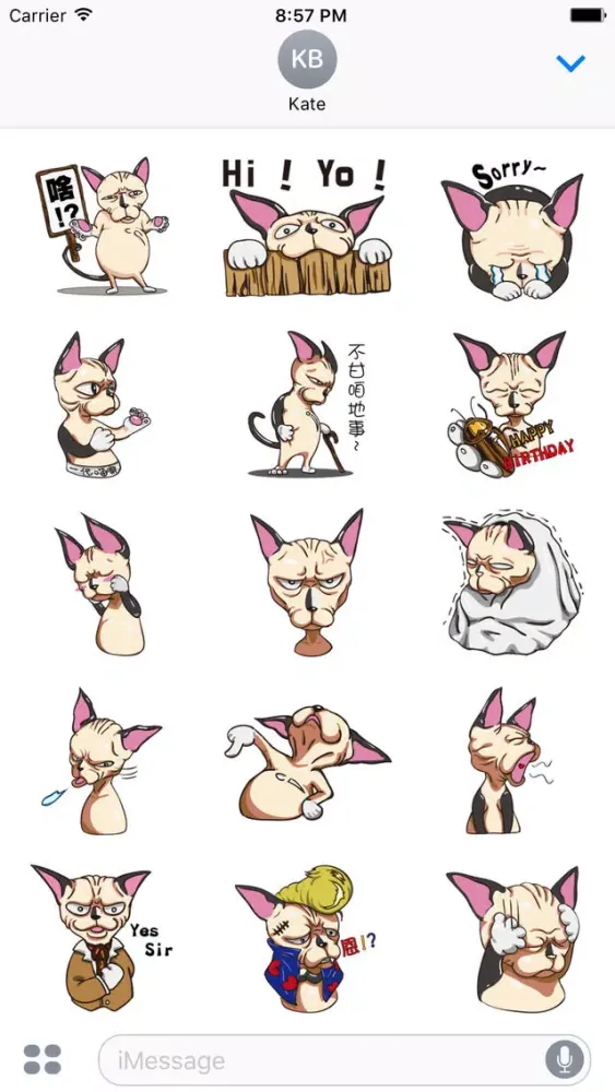 Tiger the Sphynx Cat. Stickers by Design73 Ekran Görüntüleri