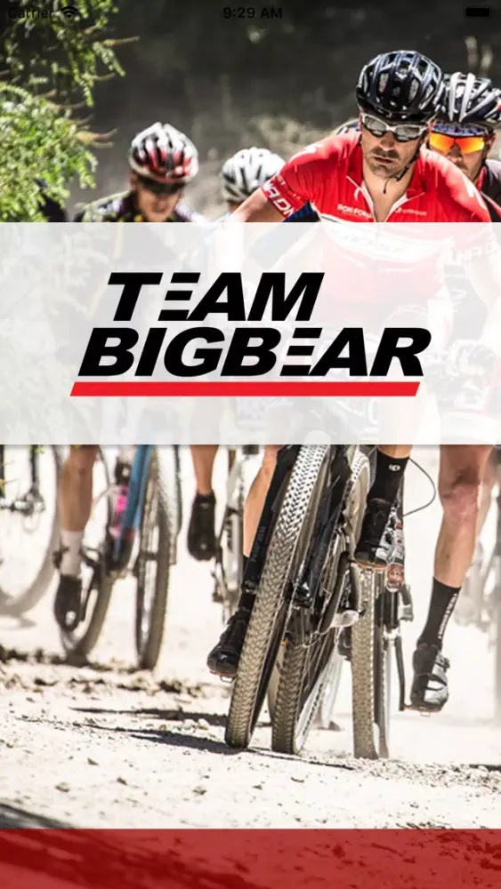 Ảnh chụp màn hình của Team Big Bear