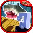 cRAFT SURVIVAL