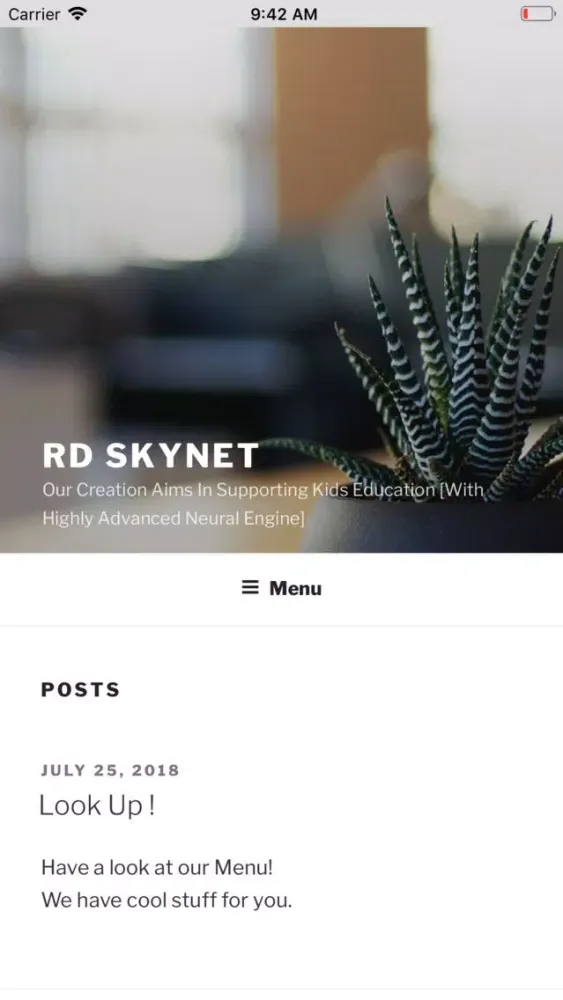 RD Skynet Screenshots