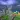 Tornado Rain and Thunder Sim