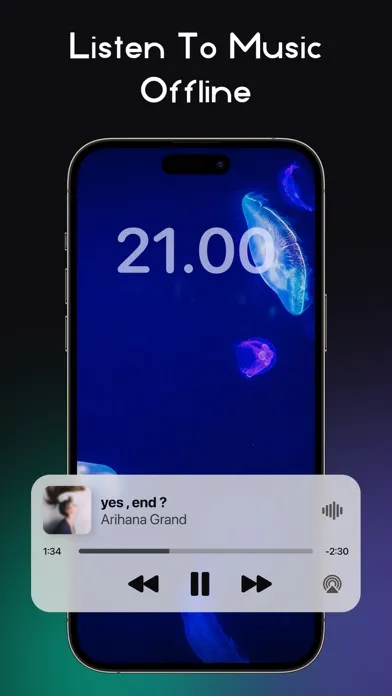 Скриншоты RaMusi: Offline Music Player