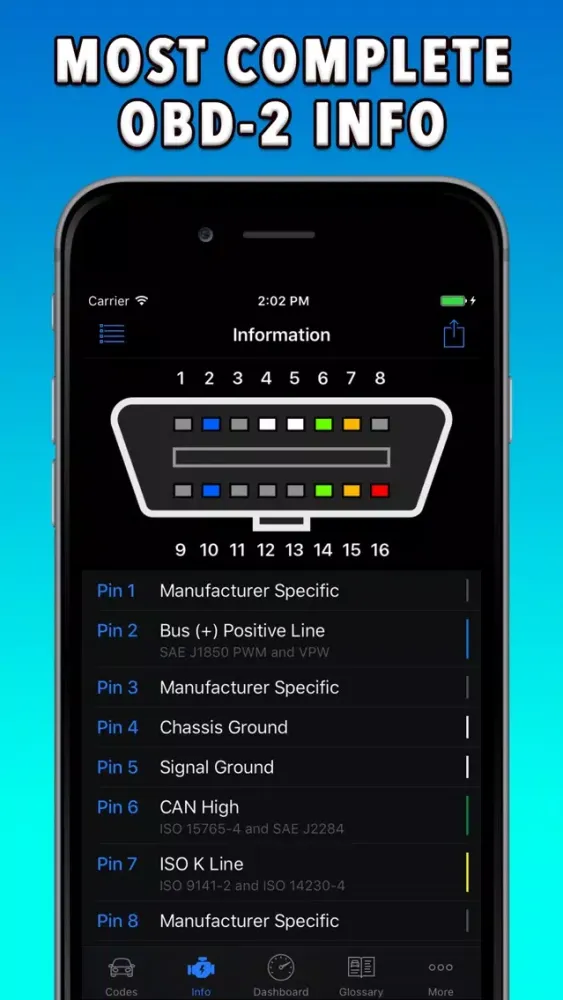 OBD-2 Pontiac Screenshots