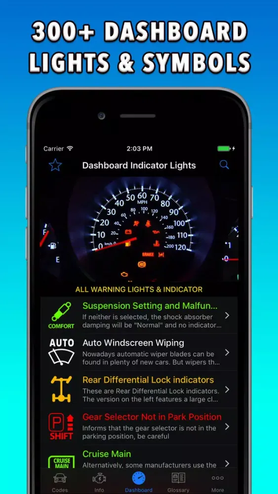 OBD-2 Pontiac Screenshots