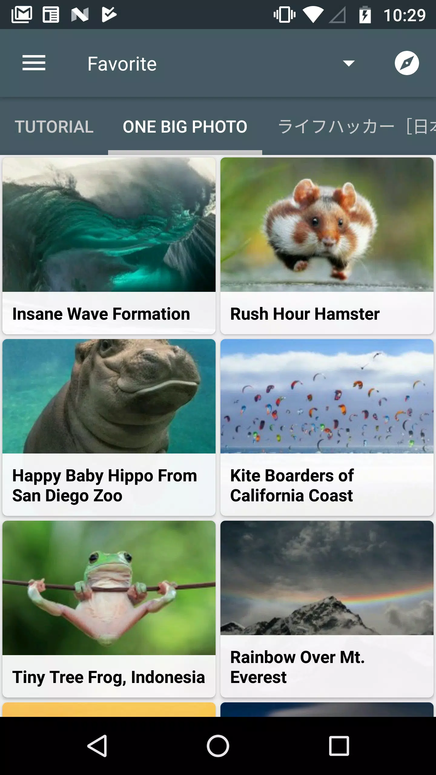 Feed Go Screenshots