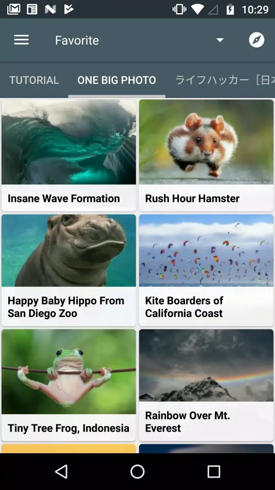 Feed Go Screenshots