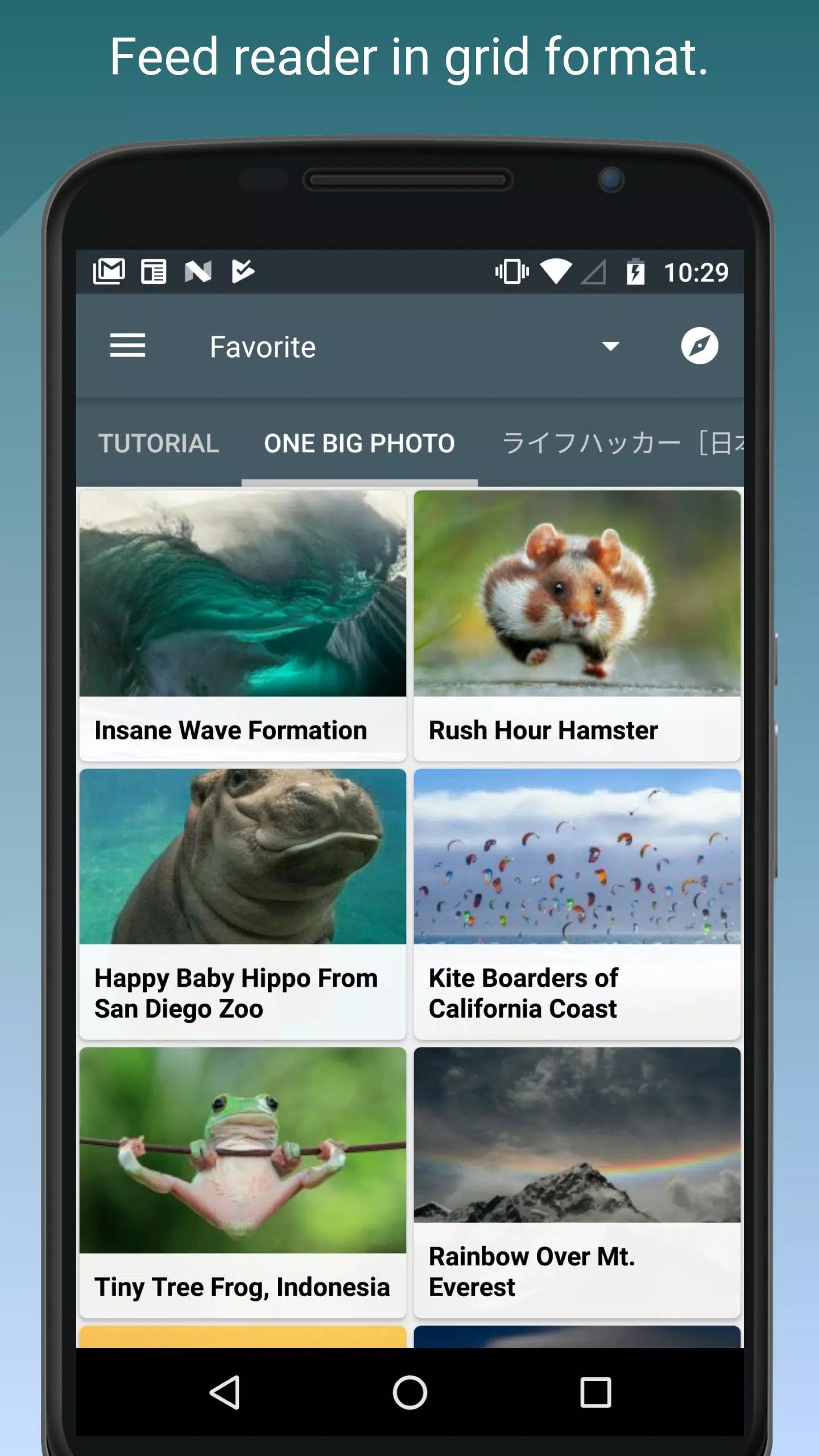Feed Go Screenshots