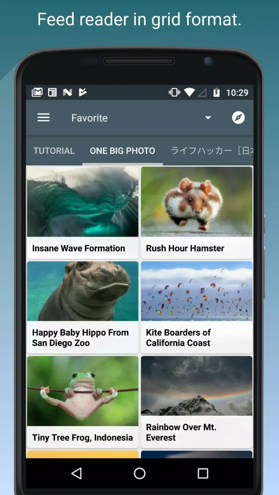 Feed Go Screenshots