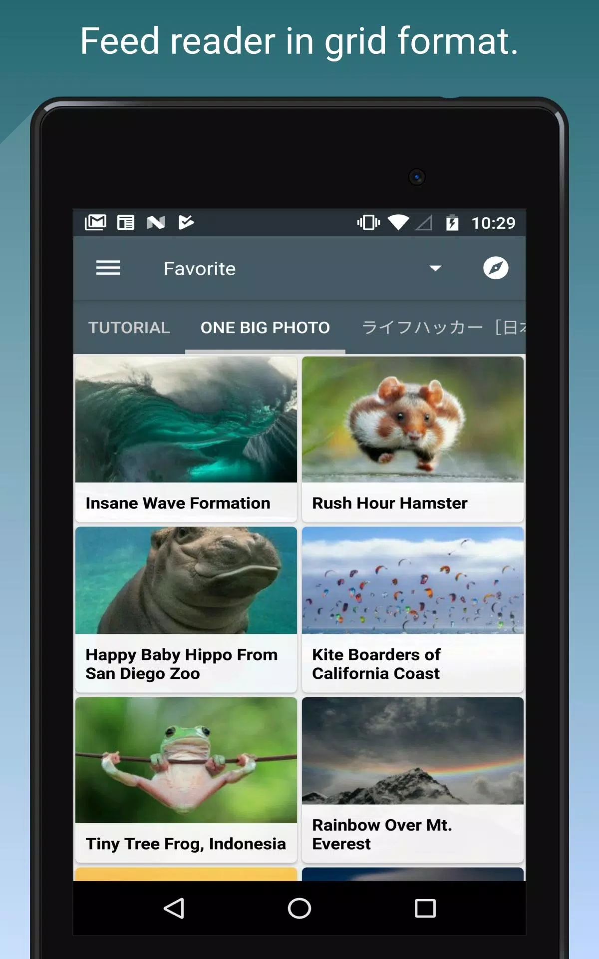 Feed Go Screenshots
