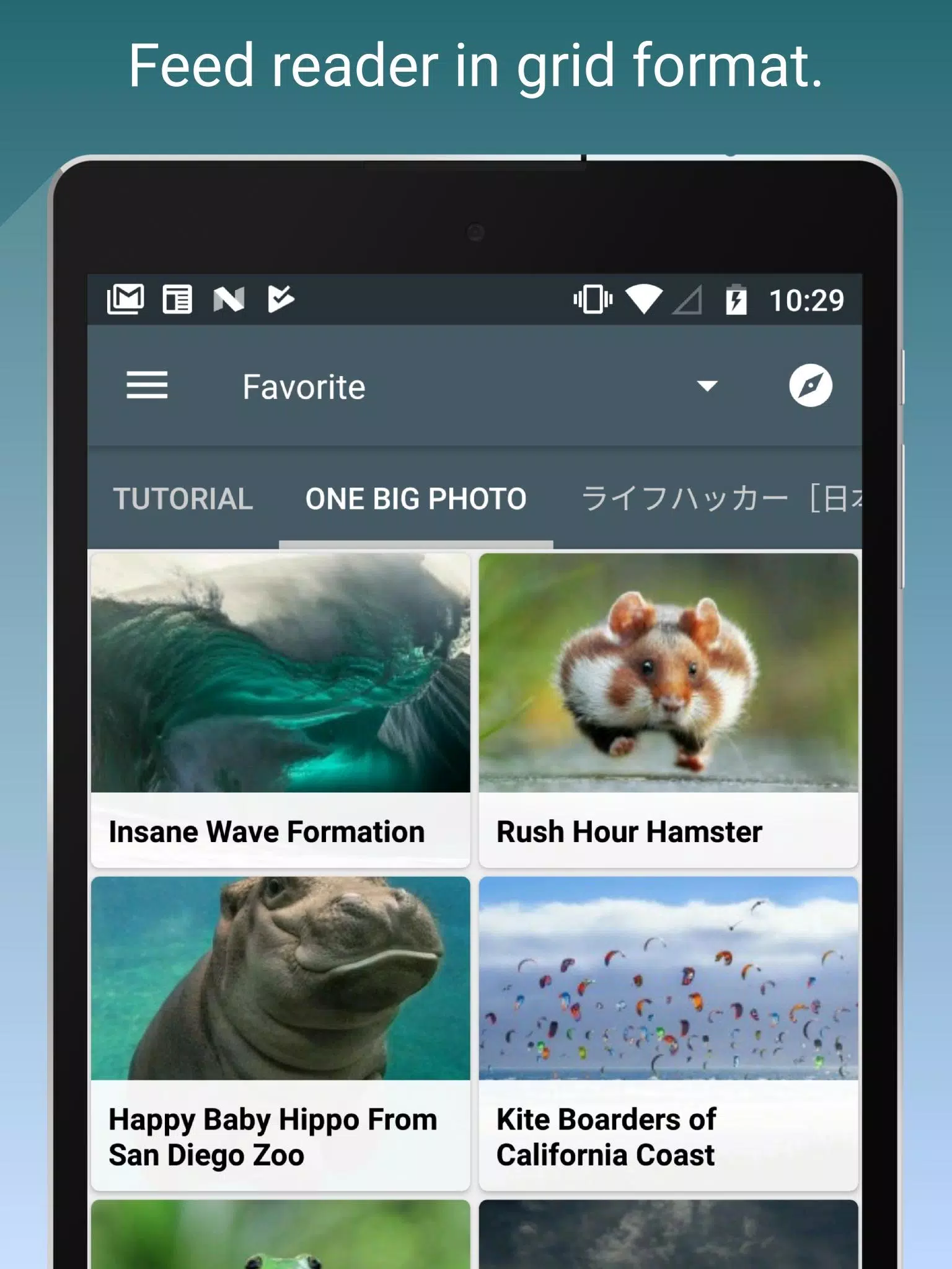 Feed Go Screenshots