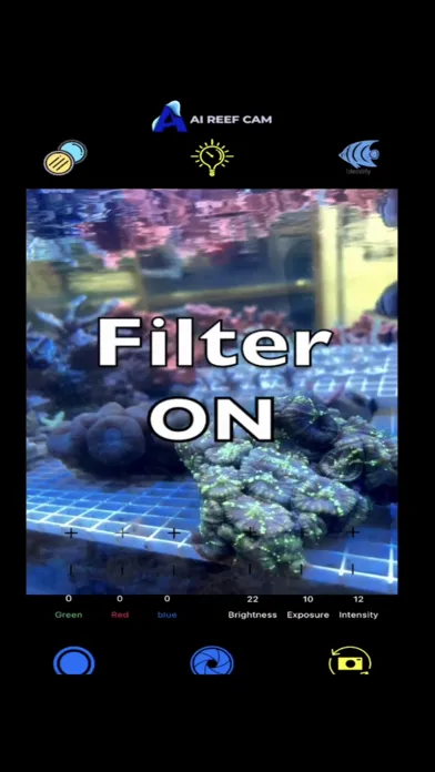 Zrzuty ekranu AI Reef Cam