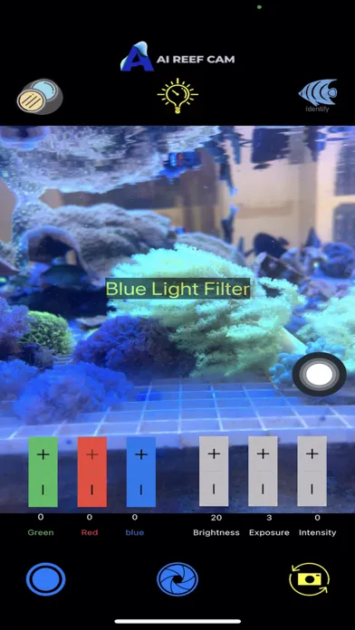 Zrzuty ekranu AI Reef Cam