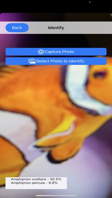 Zrzuty ekranu AI Reef Cam