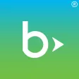 Blackbaud Volunteer Network Fu