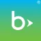 Blackbaud Volunteer Network Fu