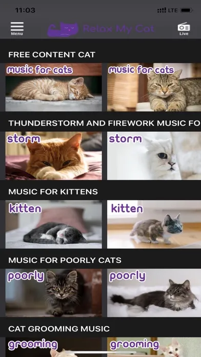 ภาพหน้าจอของ RelaxMyCat - Relaxing Music TV