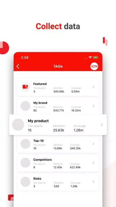 Screenshot di ION — brand protection system