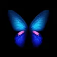 3D Themes - Live Wallpapers