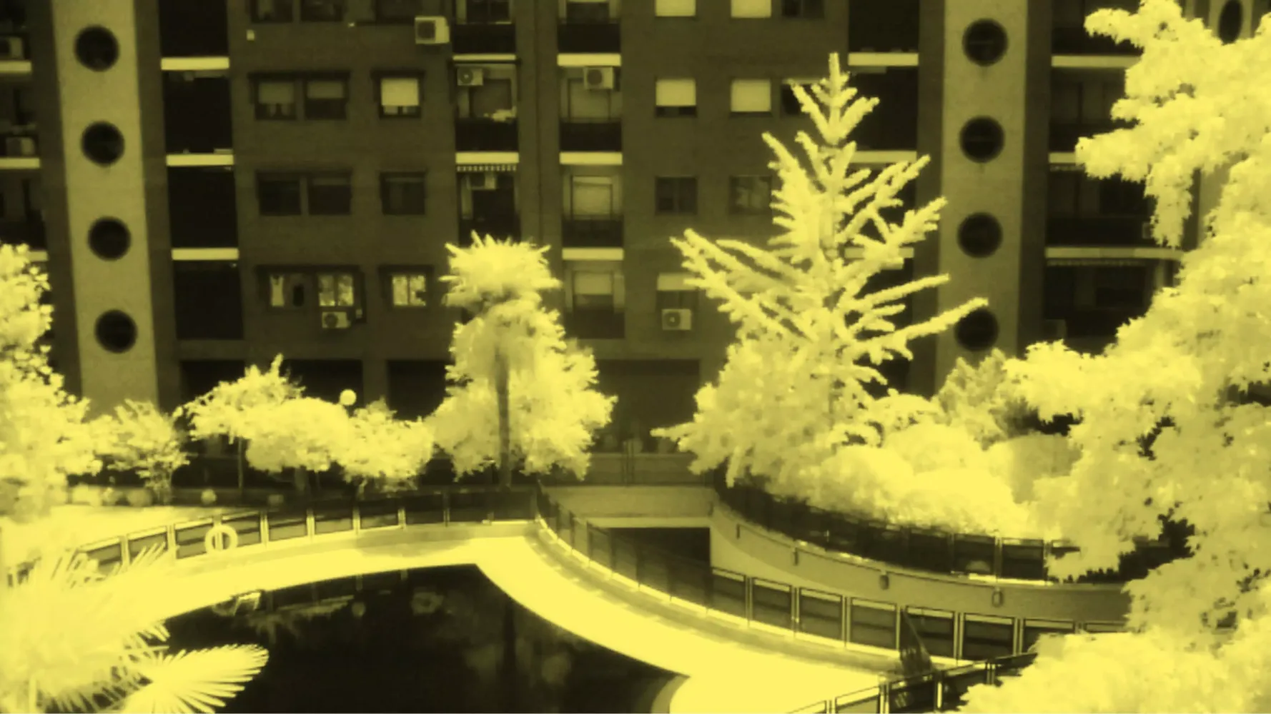 RGM InfraRedCAM 1-external cam应用截图