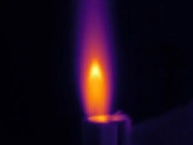 RGM ThermalCAM 1-external cam Screenshots