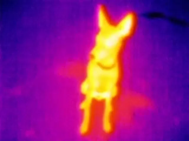 RGM ThermalCAM 1-external cam Screenshots