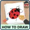 How To Draw Insect