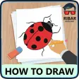 How To Draw Insect How To Draw Insect