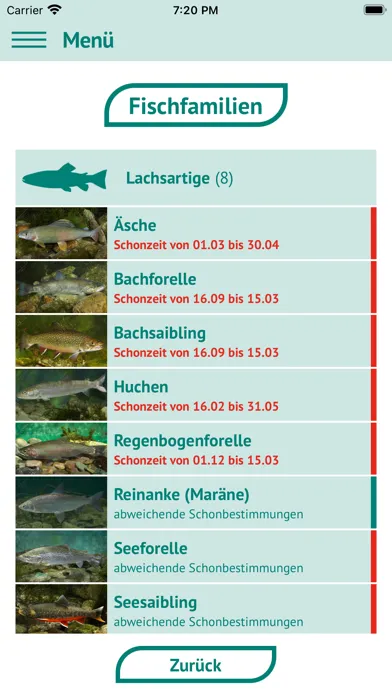 Fische OÖ - Schonbestimmungen Screenshots