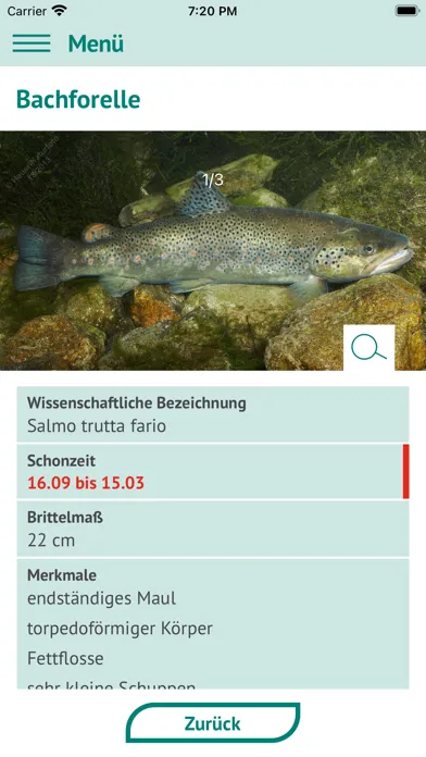 Fische OÖ - Schonbestimmungen Screenshots