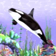 HealingAqua