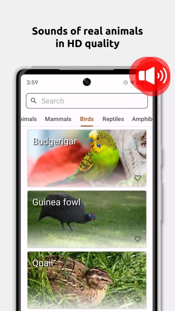 Ảnh chụp màn hình của Animal Sounds