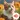 Cat Sounds: Meow for Ringtones