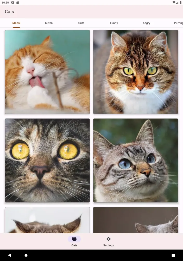 Cat Sounds: Meow for Ringtones Screenshots