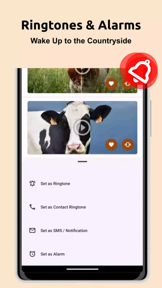 تصاویر Cow Sounds