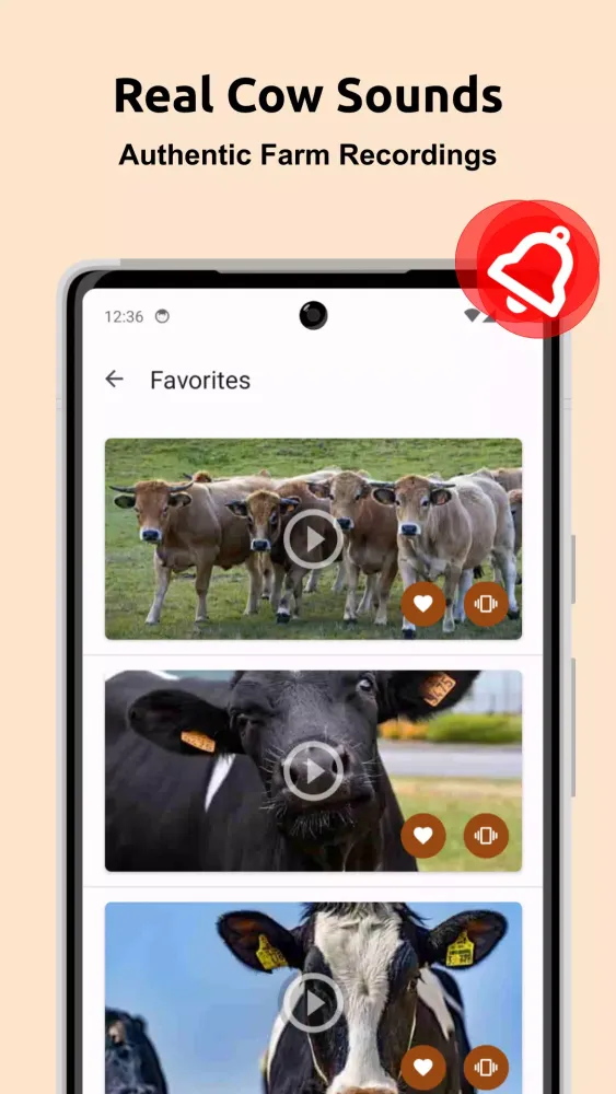 تصاویر Cow Sounds