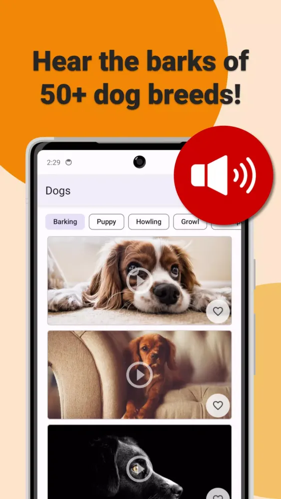 Dog Sounds Screenshots